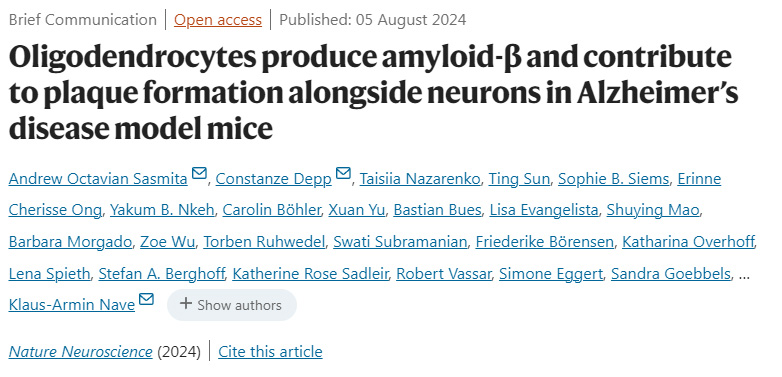 少突膠質(zhì)細(xì)胞在阿爾茨海默病模型小鼠中產(chǎn)生淀粉樣蛋白-β，并與神經(jīng)元一起促進(jìn)斑塊形成