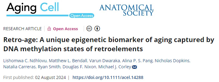 Retro-age：一種由逆轉(zhuǎn)錄元件的DNA甲基化狀態(tài)捕獲的獨(dú)特的衰老表觀遺傳生物標(biāo)志物