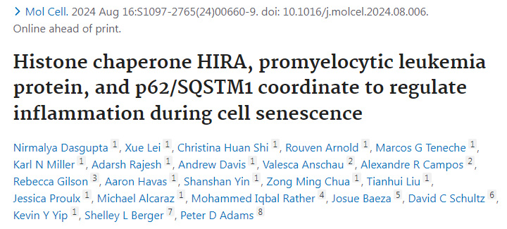 組蛋白伴侶HIRA、早幼粒細胞白血病蛋白和p62/SQSTM1協(xié)同調(diào)節(jié)細胞衰老過程中的炎癥