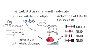 Nature Genetics：驚奇地發(fā)現(xiàn)選擇性剪接比蛋白質多樣性更能影響基因表達？