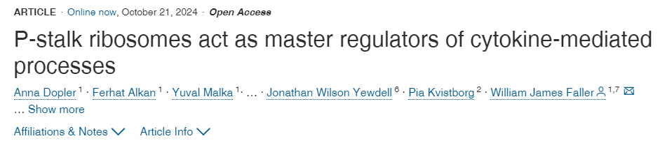 
P-莖區(qū)核糖體是細(xì)胞因子介導(dǎo)過(guò)程的主要調(diào)節(jié)因子