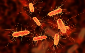 《Nature》腸道中的某些大腸桿菌如何促進(jìn)結(jié)腸癌？