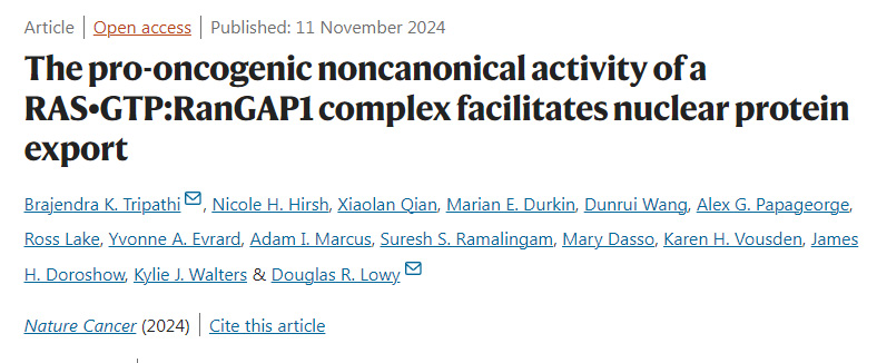 RanGAP1復(fù)合物促進(jìn)核蛋白輸出