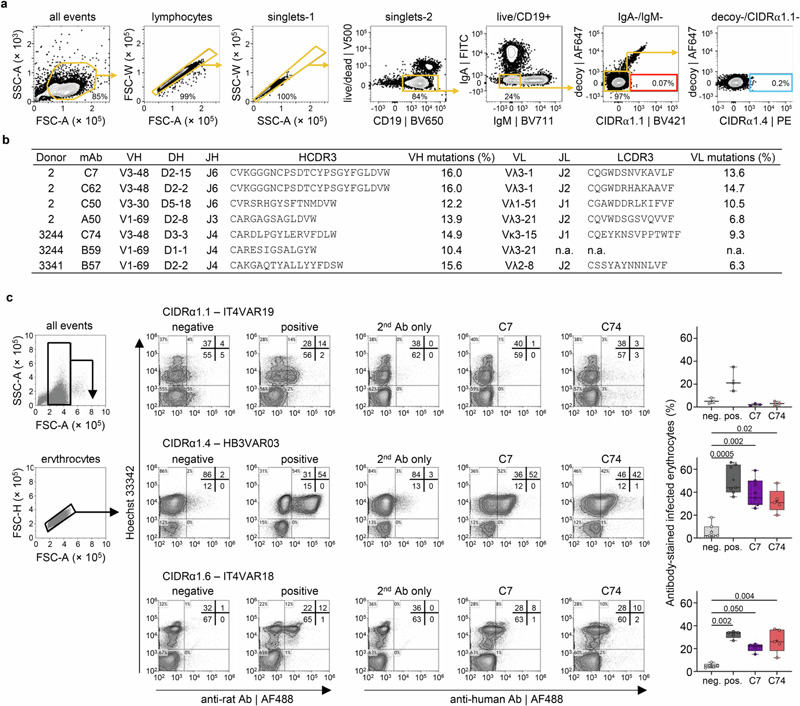 流式細(xì)胞術(shù)門(mén)控和單克隆抗體序列分析