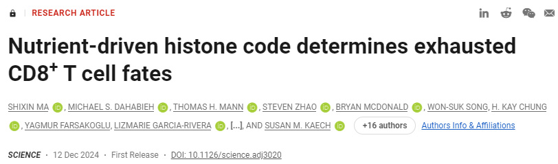 營(yíng)養(yǎng)驅(qū)動(dòng)的組蛋白編碼決定了疲憊的CD8+T細(xì)胞命運(yùn)