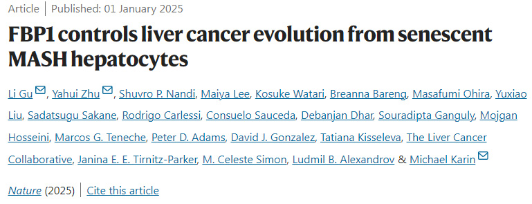 FBP1控制衰老的脂肪性肝炎肝細(xì)胞的肝癌演變