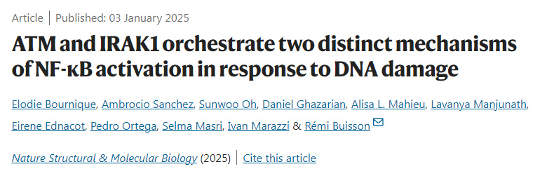ATM和IRAK1協(xié)調(diào)兩種不同的NF-κB激活機(jī)制以應(yīng)對(duì)DNA損傷