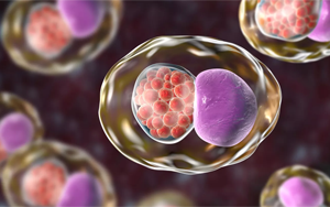 Cell：微生物組的變化預(yù)測性傳播疾病的風(fēng)險(xiǎn)