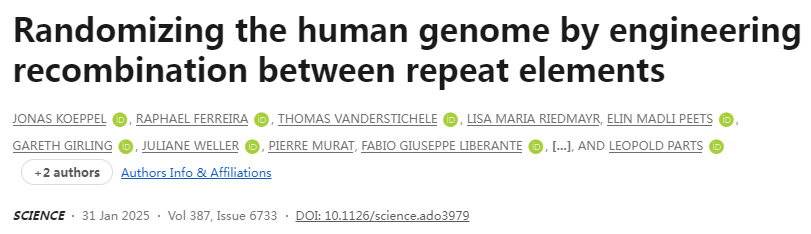 通過重復(fù)元件之間的工程重組使人類基因組隨機(jī)化