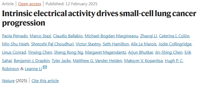 內(nèi)源性電活動驅(qū)動小細胞肺癌進展