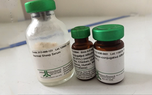 血清選購全攻略：教你慧眼識(shí)各類優(yōu)質(zhì)血清產(chǎn)品