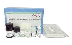 西寶生物隆重推出兩款蛋白酶檢測(cè)試劑盒 - 精準(zhǔn)檢測(cè)，賦能生物制藥質(zhì)量控制