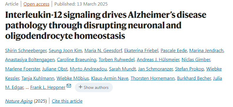 白細(xì)胞介素-12信號(hào)通路通過(guò)破壞神經(jīng)元與少突膠質(zhì)細(xì)胞穩(wěn)態(tài)驅(qū)動(dòng)阿爾茨海默病病理進(jìn)程