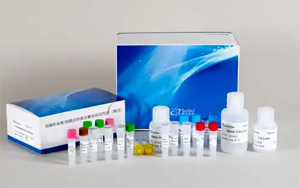 新品上市|硫酸軟骨素/硫酸皮膚素定量檢測(cè)試劑盒-關(guān)注糖胺聚糖檢測(cè)，助力藥品安全與科研創(chuàng)新！
