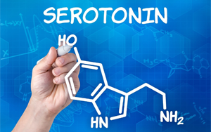 Science解開長(zhǎng)期謎題：破譯血清素在我們大腦中的作用