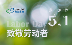 五一勞動(dòng)節(jié)放假通知|致敬不凡 禮贊平凡