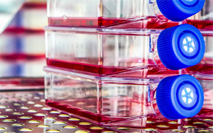 生物制藥與疫苗生產中的細胞培養(yǎng)全流程解決方案