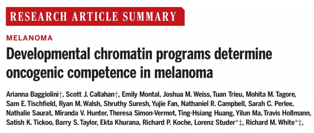 改寫教科書！Science揭示：為什么你體內(nèi)的癌細(xì)胞沒發(fā)展成癌癥？