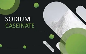 酪蛋白酸鈉在診斷試劑中的核心應(yīng)用解析