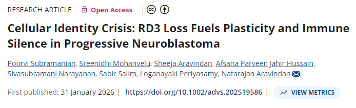 細(xì)胞身份危機(jī):RD3缺失在進(jìn)展性神經(jīng)母細(xì)胞瘤中助長(zhǎng)可塑性并引發(fā)免疫靜默 細(xì)胞身份危機(jī):RD3缺失在進(jìn)展性神經(jīng)母細(xì)胞瘤中助長(zhǎng)可塑性并引發(fā)免疫靜默