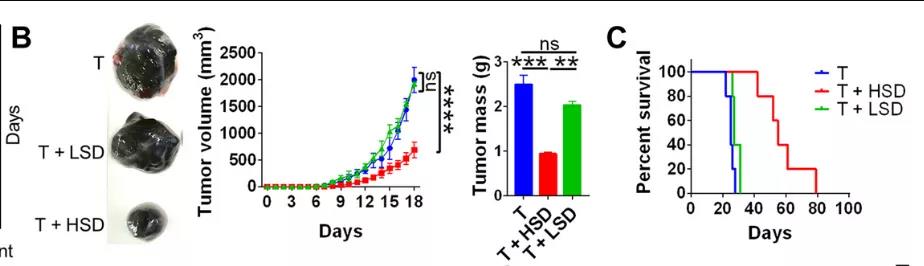 鹽要漲價(jià)了！Science子刊揭示：高鹽飲食或可誘導(dǎo)有效的腫瘤免疫！