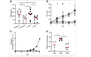 研究揭示：神經(jīng)系統(tǒng)或可替代抗生素抑制細菌感染