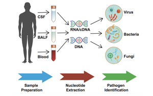 中科院微生物所王軍課題組建立靶向RNA的病原檢測新方法mtNGS和mtTGS