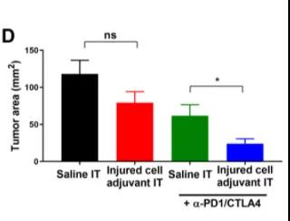 Science子刊：為免疫系統(tǒng)提供“叫醒服務(wù)”或可有效清除體內(nèi)腫瘤！