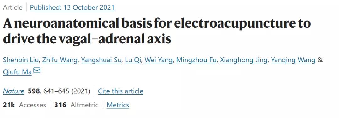 Nature：針灸不再是“玄學(xué)”！中美科學(xué)家證明針灸的神經(jīng)解剖學(xué)原理