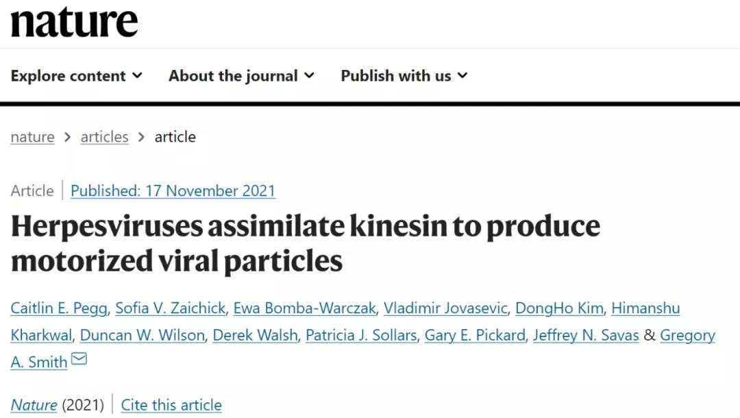 《Nature》：皰疹病毒看似“低調(diào)的青銅” ，實則“神秘的強者”