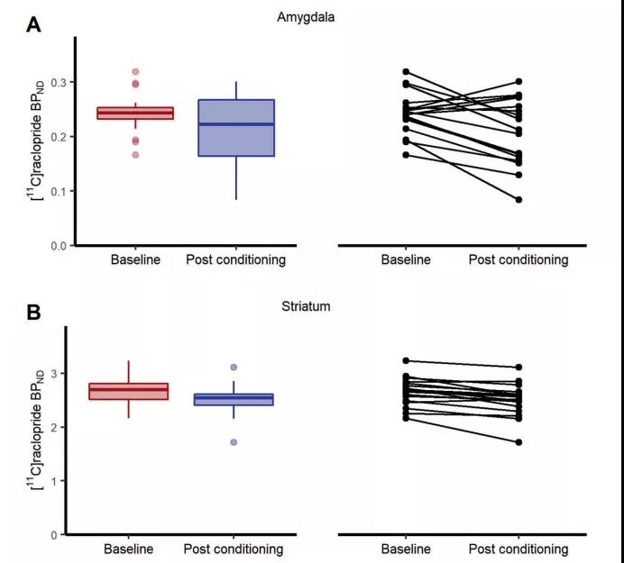 一朝被蛇咬，十年怕井繩，找到了科學依據(jù)！最新研究揭示“恐怖分子”多巴胺如何參與人類恐懼記憶形成