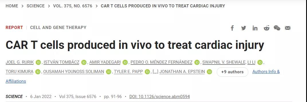 CAR-T技術(shù)再升級(jí)！無需體外編程T細(xì)胞，一針注射修復(fù)受損心臟，省錢又省心！