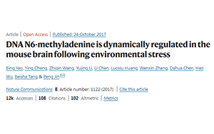 別再emo了，情緒真的能夠改變基因！