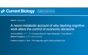 不知道大腦疲勞的真正原因，千萬別輕易決策