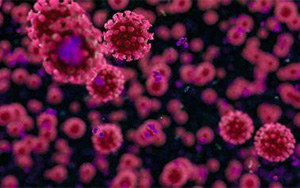 冠狀病毒如何利用宿主的抗病毒防御機制進行有效復(fù)制