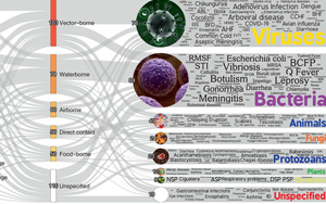 極端高溫只是開始，更致命的警告在后面：58%人類病原體獲得強化