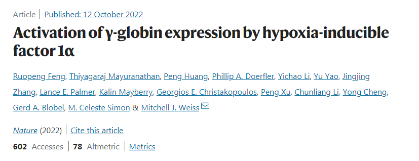 研究發(fā)現(xiàn)適應低氧環(huán)境的蛋白質是如何導致成人胎兒血紅蛋白(HbF)表達增加