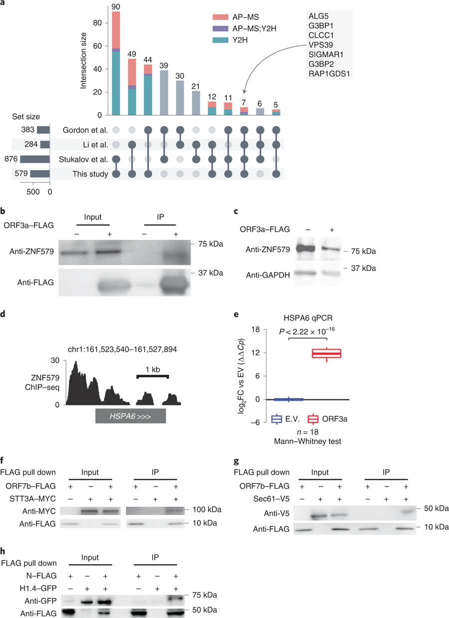 N相互作用組的特征和新冠病毒-人類蛋白質(zhì)交互作用的驗證