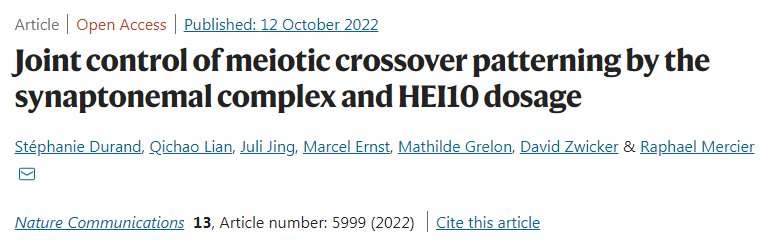 通過突觸復合體和HEI10聯(lián)合控制減數(shù)分裂交叉模式