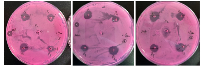 1/500實(shí)驗(yàn)圖片