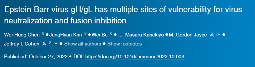 研究人員針對EB病毒的不同位點開發(fā)出一組研究性的單克隆抗體 研究人員針對EB病毒的不同位點開發(fā)出一組研究性的單克隆抗體