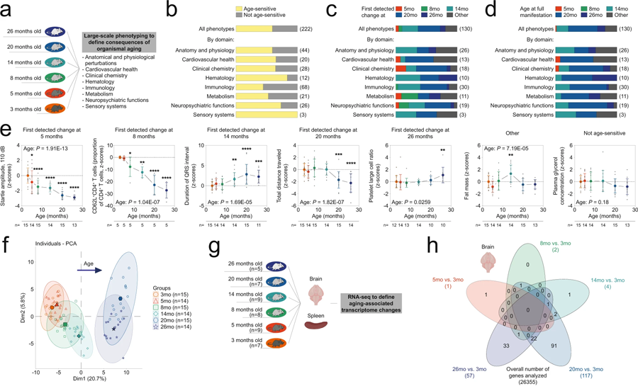 C57BL/6J小鼠年齡依賴性表型變化的多維分析