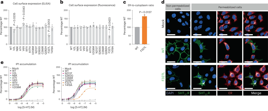 編碼5-HT2CR的基因中的人類變體導(dǎo)致細(xì)胞功能喪失