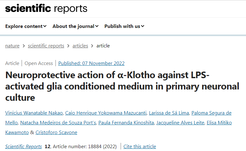 蛋白質(zhì)klotho保護(hù)膠質(zhì)細(xì)胞免受炎癥和死亡的影響