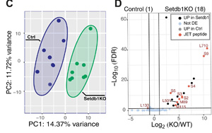 Science Immunology兩篇重要論文：解決癌癥免疫領域長期面臨的挑戰(zhàn)