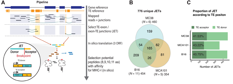外顯子和TE（JET）之間連接的組織和腫瘤特異性表達(dá)