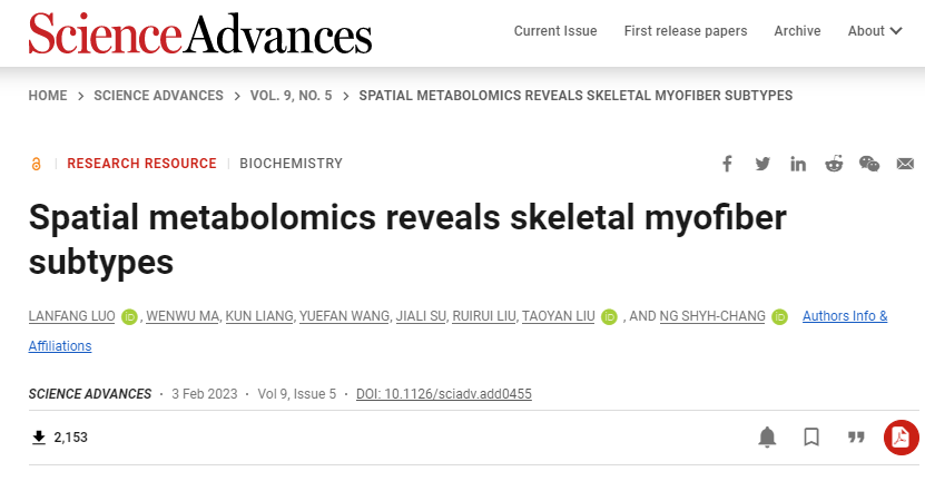 科學家們首次在小鼠腿上發(fā)現(xiàn)了一種新的超快2B型肌纖維亞型