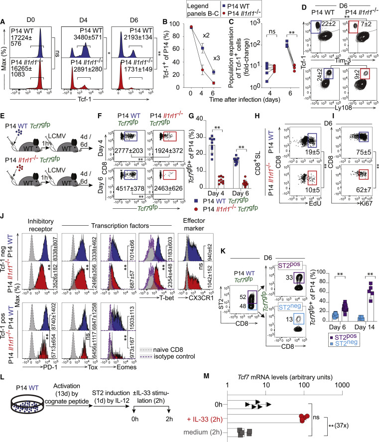 IL-33信號傳導(dǎo)促進(jìn)CD8+T細(xì)胞Tcf-1表達(dá)