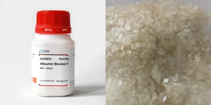 牛血清白蛋白，BSA，第五組分