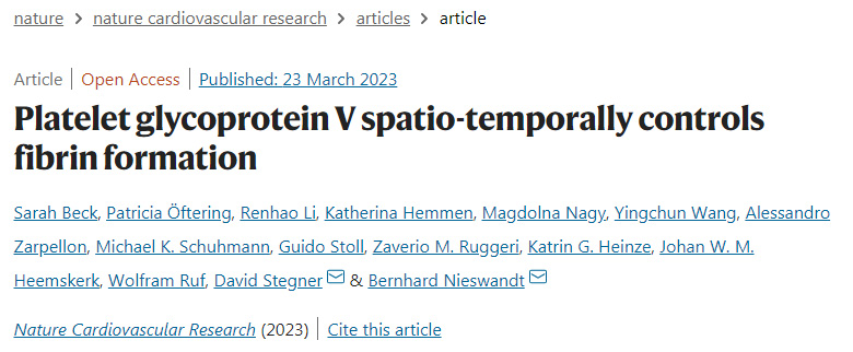 研究人員破譯了纖維蛋白形成的中央調節(jié)機制